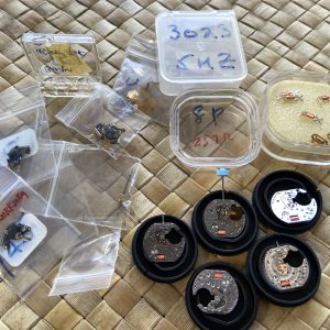 Piaget 8P Quartz Movements Coils & Misc Parts
