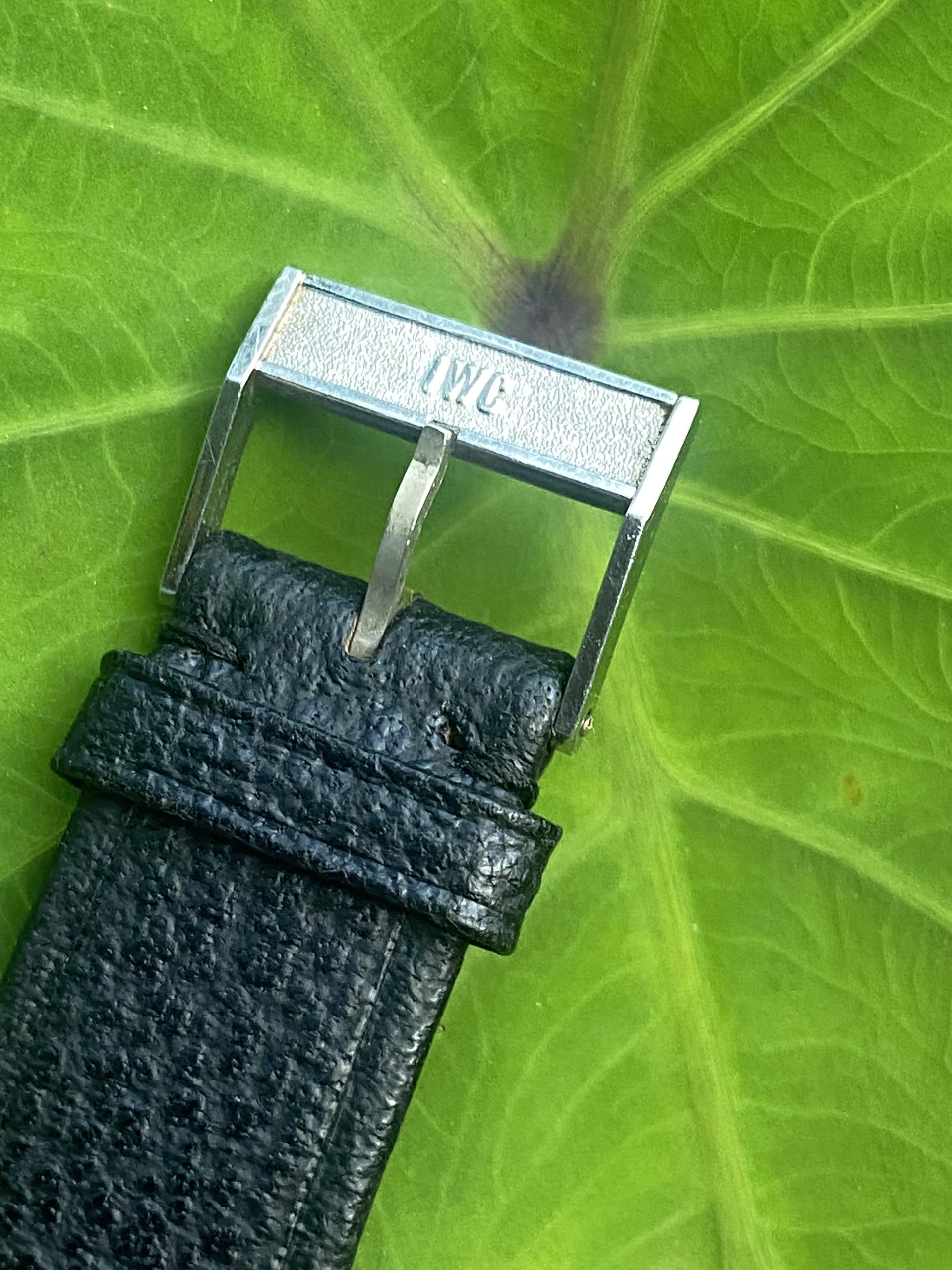 Vintage International Watch Co IWC Yacht Club Serviced - Image 2